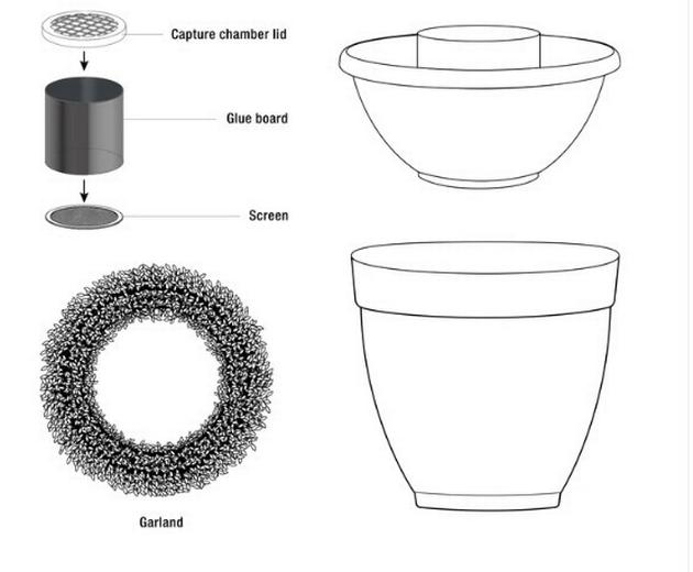 Ovi-Planter 2